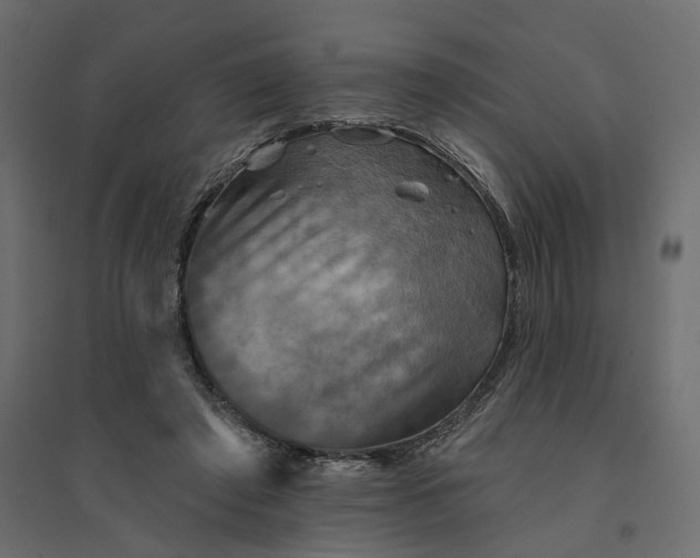 X0000094420401200711211415