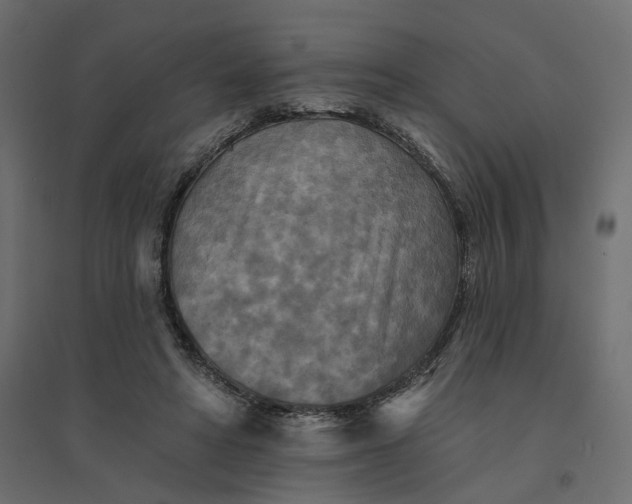 X0000094420402200711211415