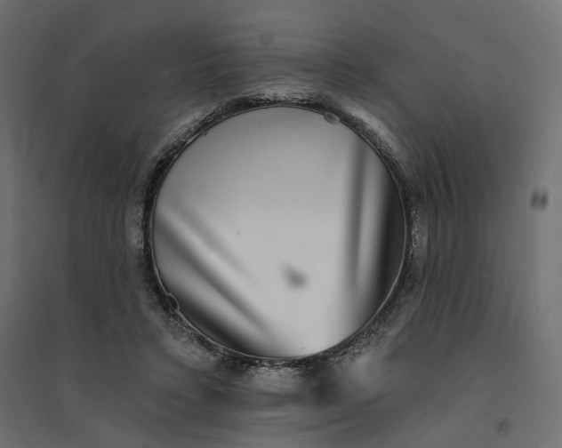 X0000094420403200711211415