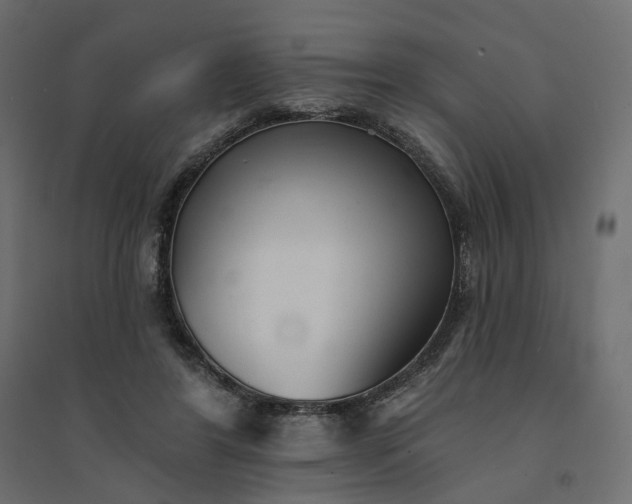 X0000094420404200711211415