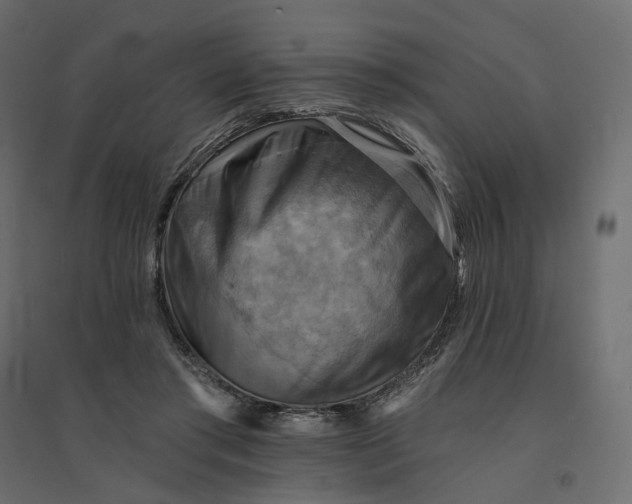 X0000094420405200711211415