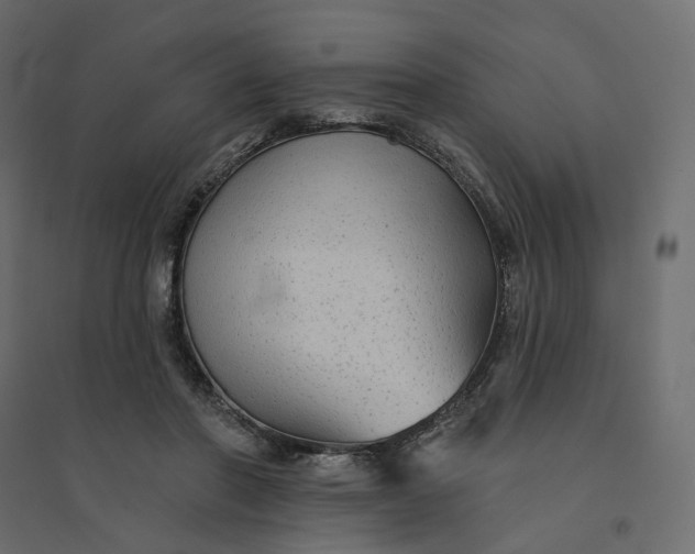 X0000094420406200711211415