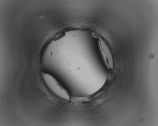 X0000094420407200711211415