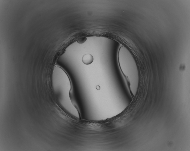 X0000094420409200711211415