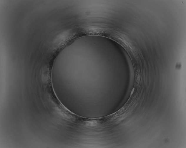 X0000094420411200711211415
