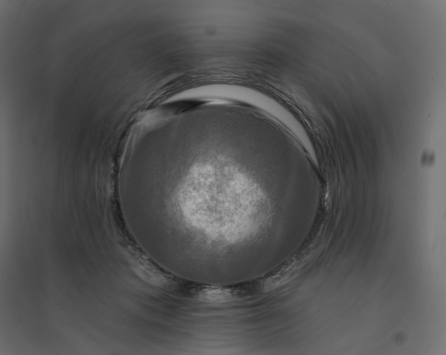 X0000094420413200711211415