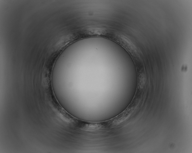 X0000094420414200711211415