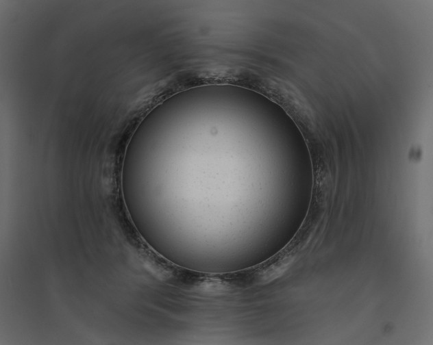X0000094420416200711211415