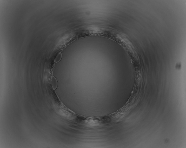 X0000094420419200711211415
