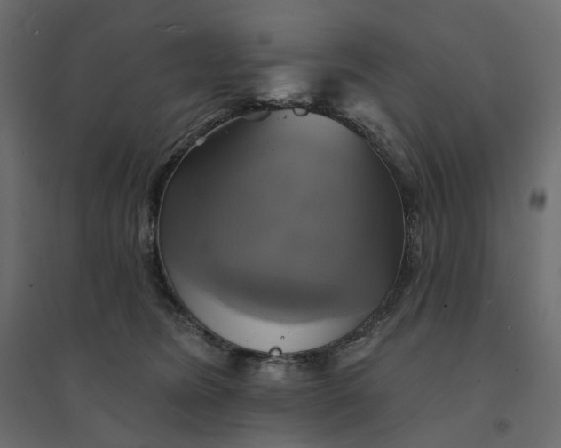 X0000094420420200711211415