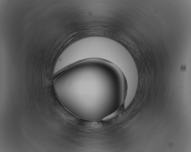 X0000094420421200711211415