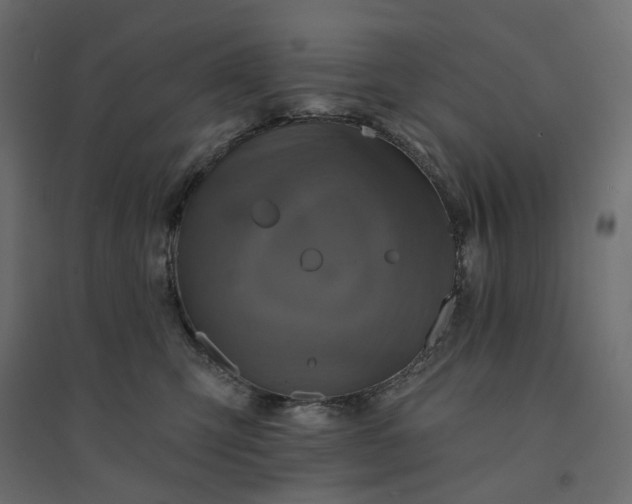 X0000094420423200711211415