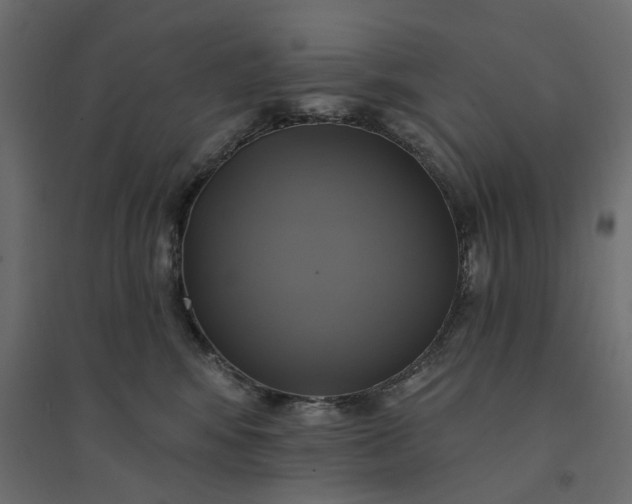 X0000094420424200711211415