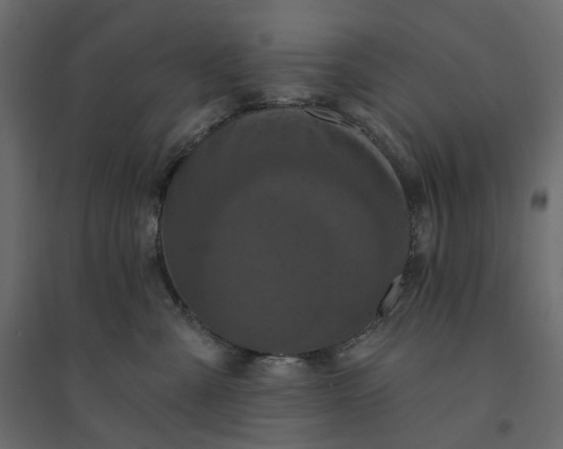 X0000094420427200711211415