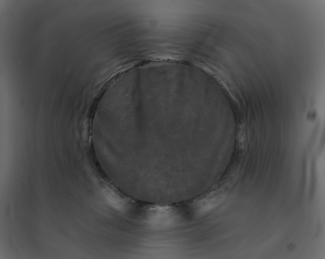 X0000094420428200711211415