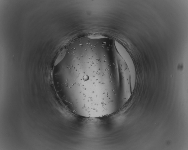 X0000094420429200711211415