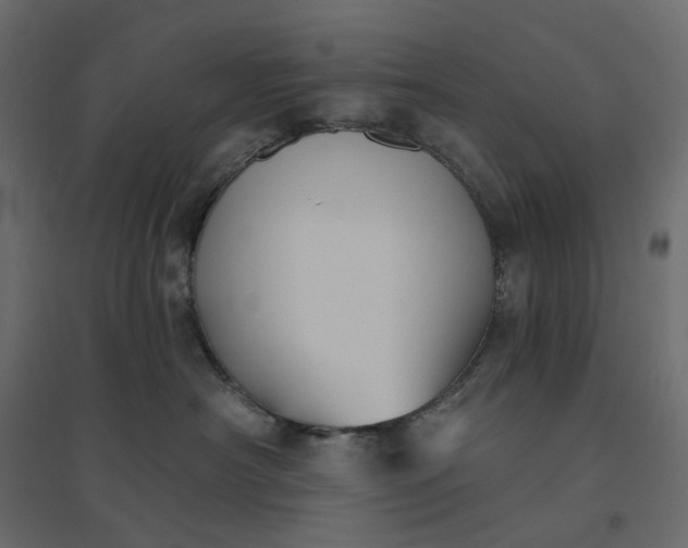 X0000094420430200711211415