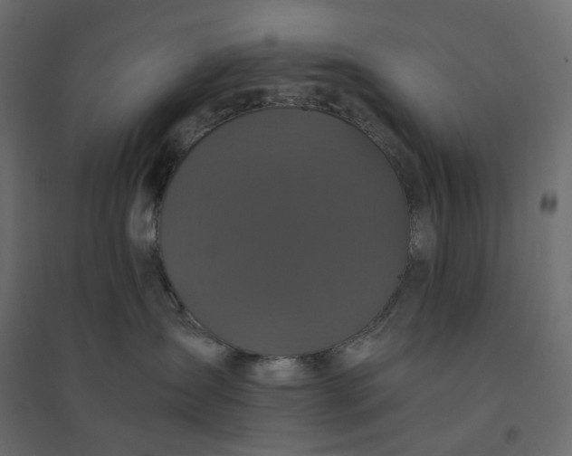 X0000094420431200711211415