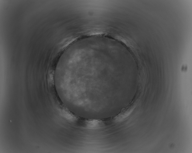 X0000094420432200711211414