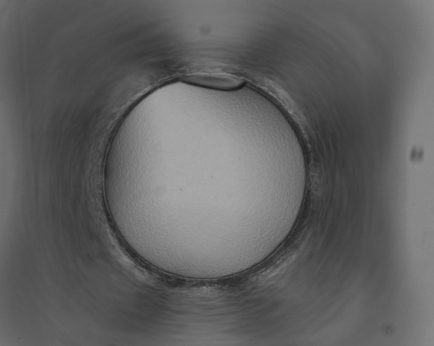 X0000094420433200711211414