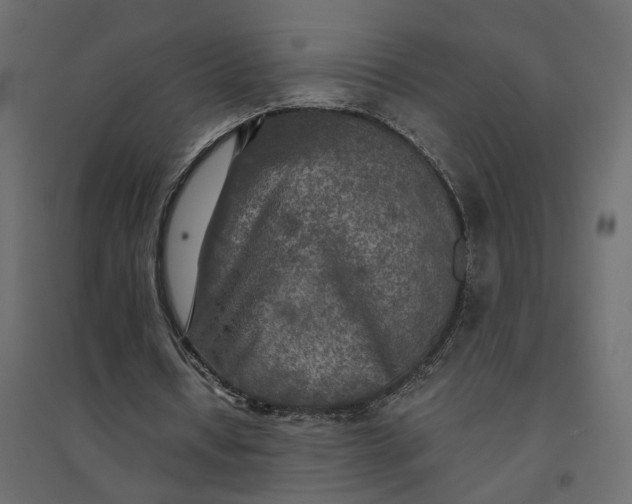 X0000094420434200711211414