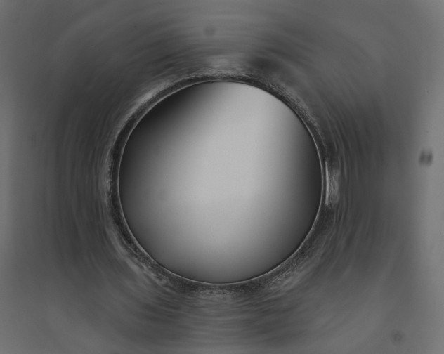 X0000094420435200711211414