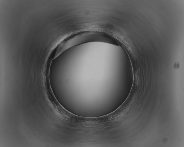 X0000094420436200711211414