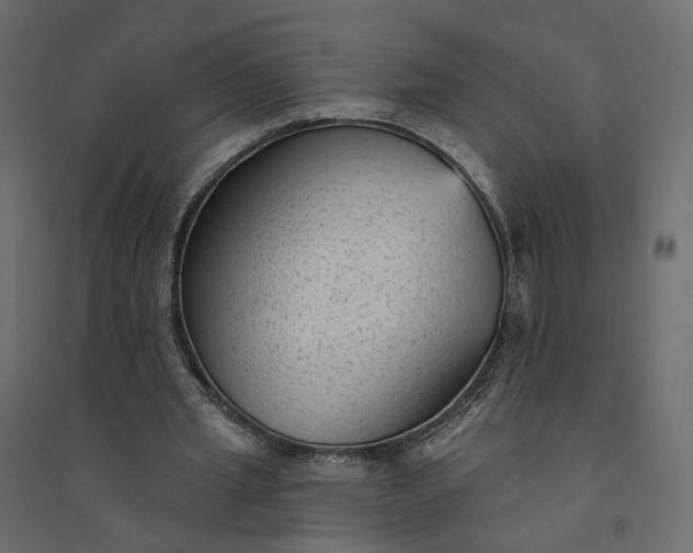X0000094420437200711211414