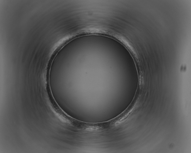 X0000094420438200711211414