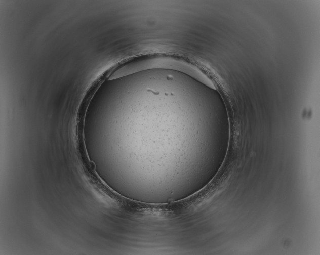 X0000094420439200711211414