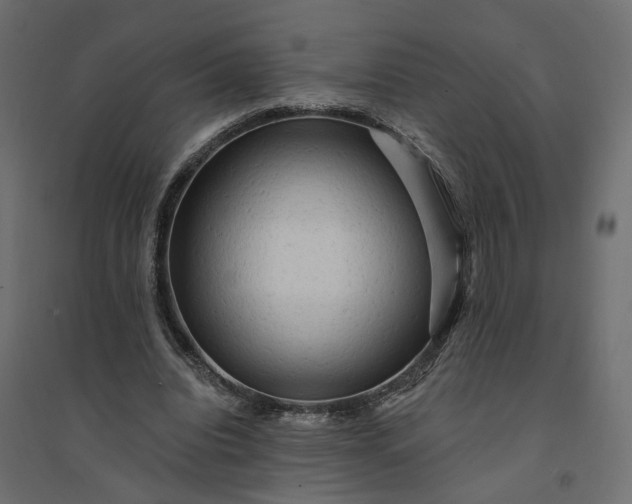 X0000094420440200711211414