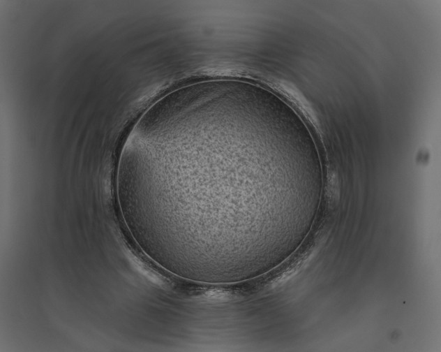 X0000094420441200711211414