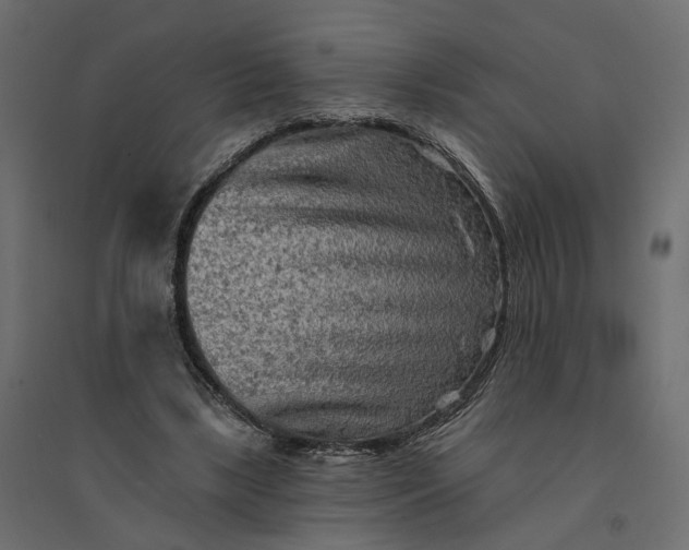 X0000094420443200711211414