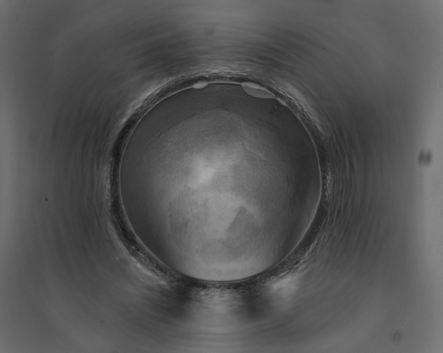 X0000094420444200711211414