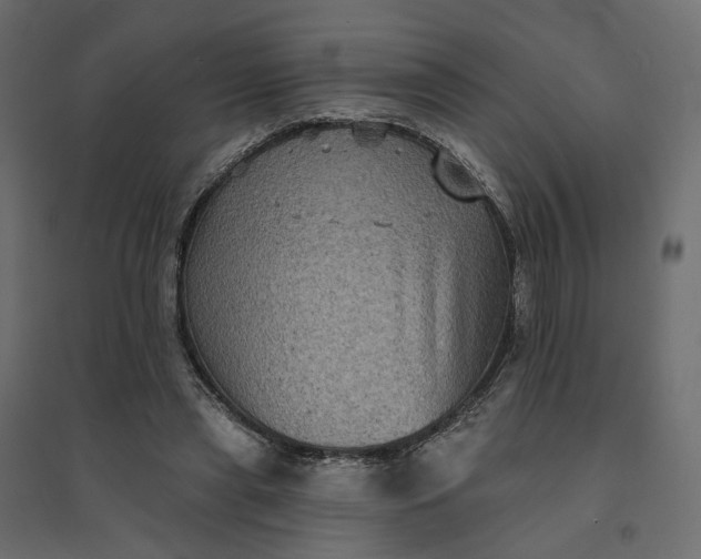 X0000094420445200711211414