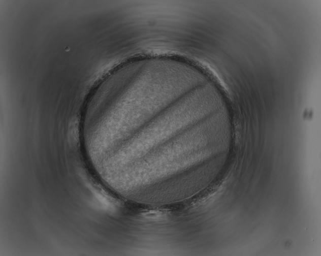 X0000094420447200711211414