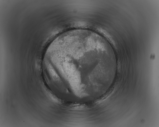 X0000094420449200711211414