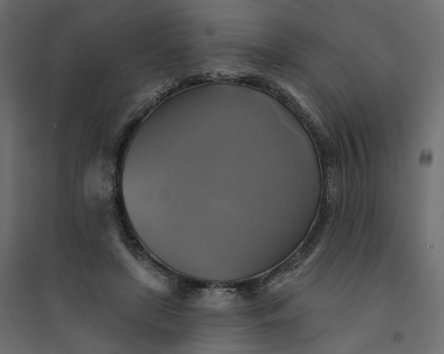 X0000094420451200711211414