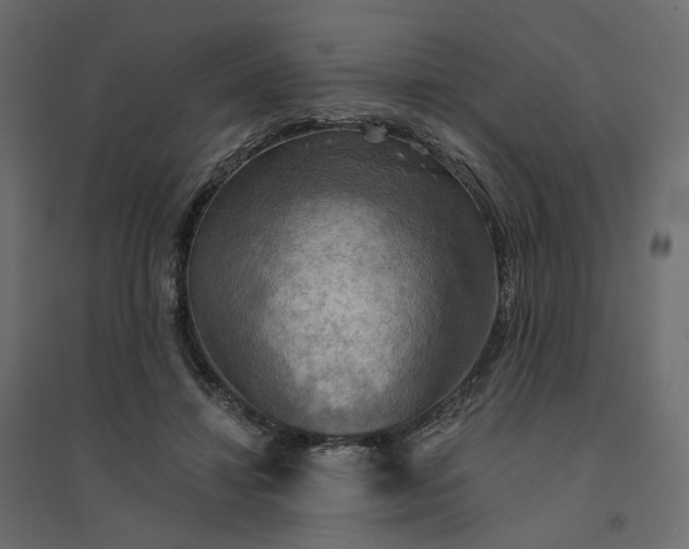 X0000094420452200711211414