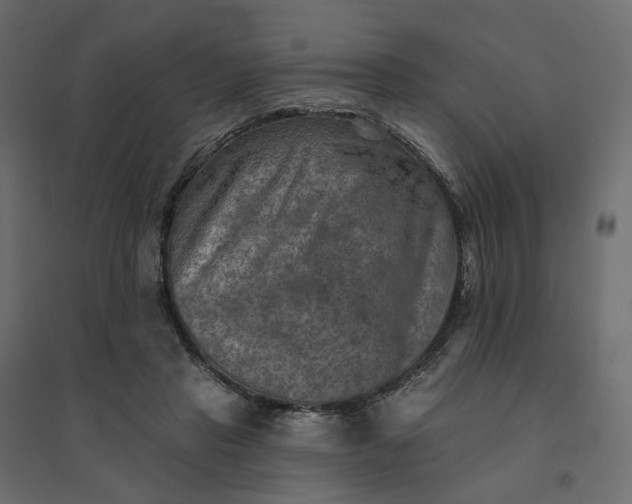 X0000094420453200711211414