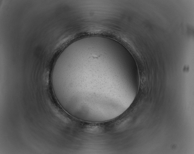 X0000094420454200711211414
