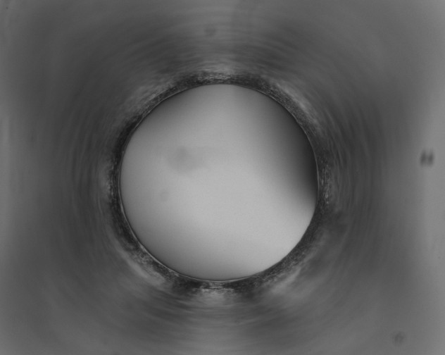 X0000094420455200711211414