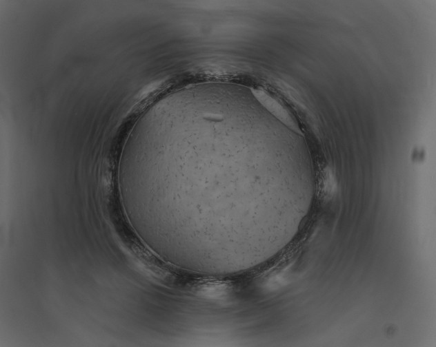 X0000094420456200711211414