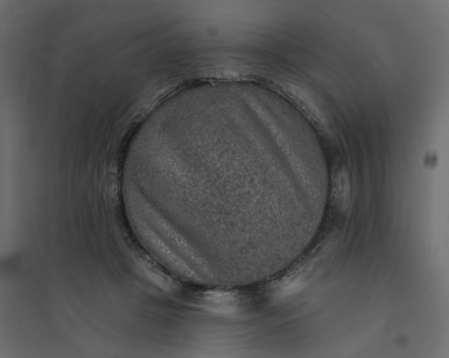 X0000094420457200711211414