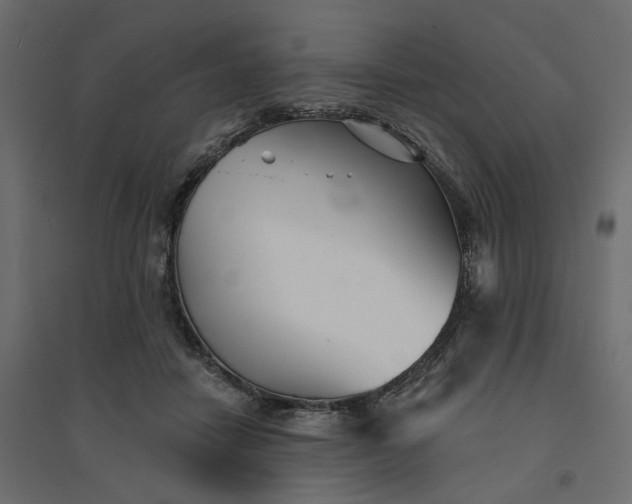 X0000094420458200711211414