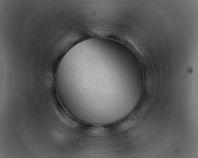 X0000094420459200711211414