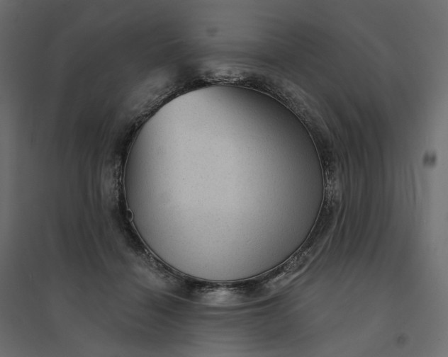 X0000094420460200711211414