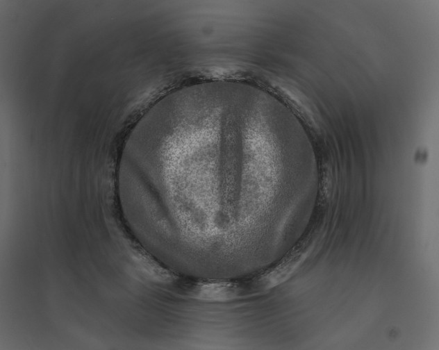 X0000094420461200711211414