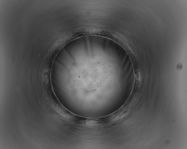 X0000094420462200711211414