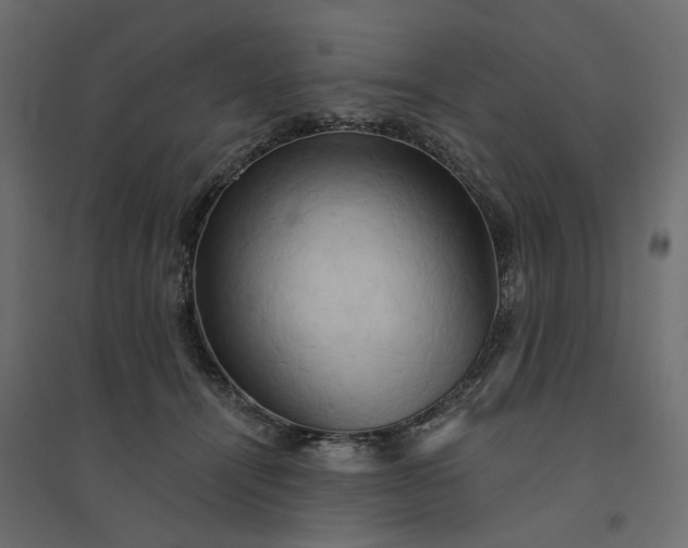 X0000094420464200711211414